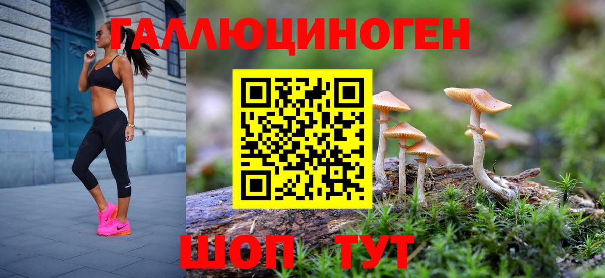 Галлюциногенные грибы GOLDEN TEACHER Мурино