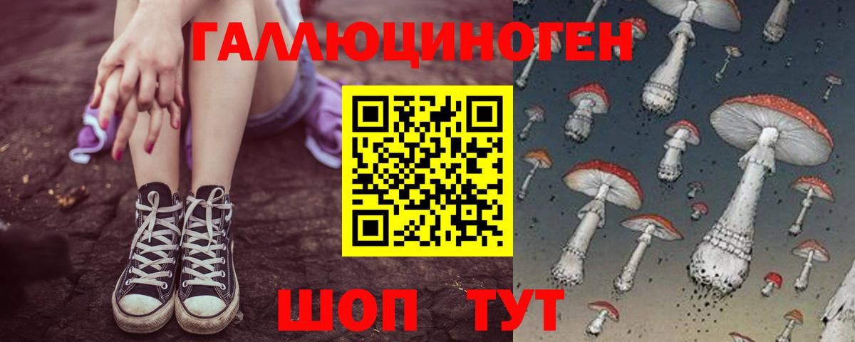 наркотики  Псилоцибиновые грибы Magic Shrooms  Мурино  Вход с VPN  Галлюциногенные грибы Psilocybe 