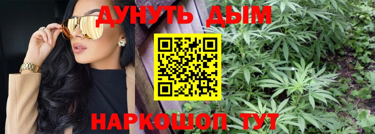 Марихуана конопля  Вход с VPN  Мурино  Бошки Шишки OG Kush 